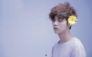 =明星明星宣布新作 明星黑料网站视频免费观看,昔日黑料视频免费观看引热议