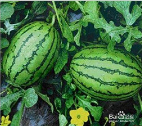 网络大瓜,揭秘娱乐圈幕后真相，带你走进明星隐私世界