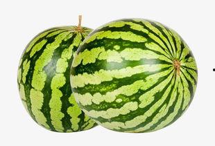 热门大瓜每日必吃大瓜合集