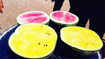 52吃瓜爆料免费吃瓜视频,免费畅享热门吃瓜视频盛宴