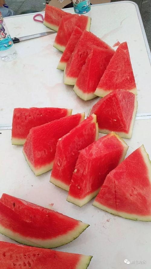 吃瓜每日大赛 吃瓜网官网,揭秘吃瓜网官网精彩瞬间