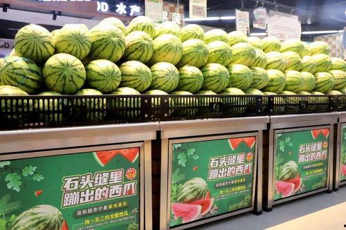 吃瓜每日大赛 吃瓜网官网,揭秘吃瓜网官网精彩瞬间