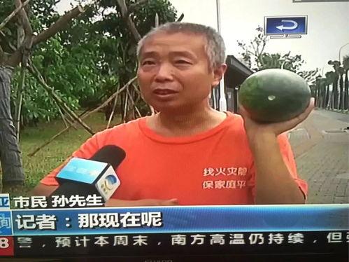 免费吃瓜视频在线看 最近热门事件合集吃瓜,最新热门事件合集，一网打尽全网热点